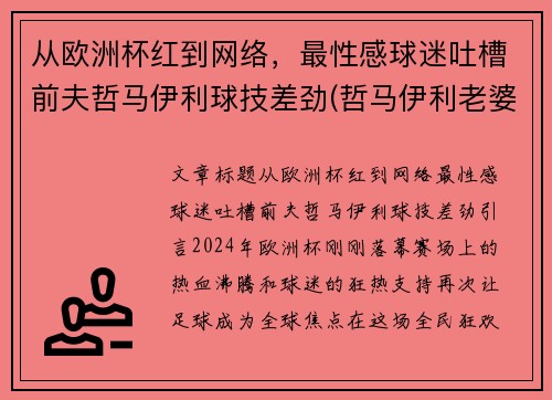 从欧洲杯红到网络，最性感球迷吐槽前夫哲马伊利球技差劲(哲马伊利老婆)