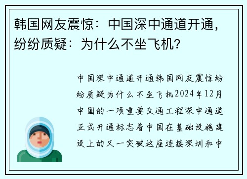 韩国网友震惊：中国深中通道开通，纷纷质疑：为什么不坐飞机？